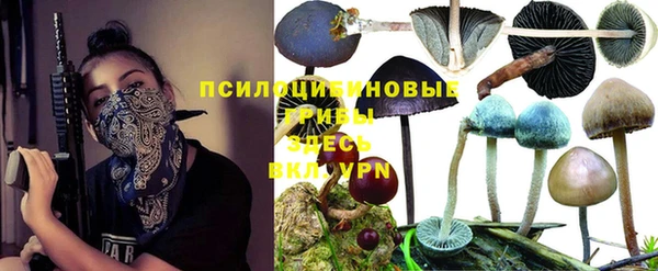 герыч Ладушкин