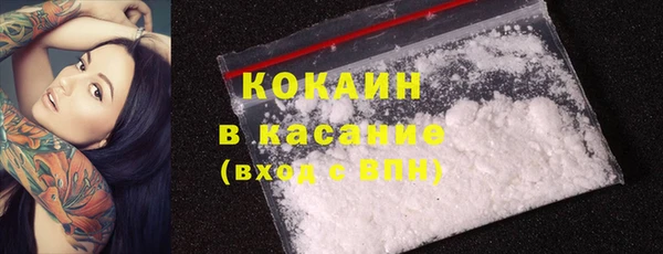 бошки Лагань