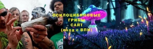 бошки Лагань