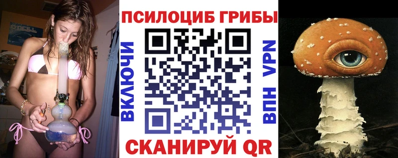 что такое   Шахунья  Галлюциногенные грибы Magic Shrooms 